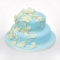 2 Tier wedding cake