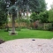 Back garden
