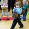 Hobby horse