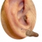 cic in ear and cic