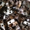 Copper angle brackets manufactured on CNC punching and CNC bending machines