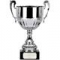 cups of all styles and sizes