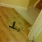 laminate flooring in hallways