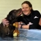 Loki enjoying a fitness swim