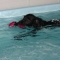 Ed enjoying fun swim