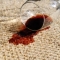 Carpet cleaning