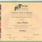 copy of national craft certificate