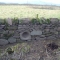 dry stone wall