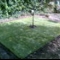 new turf laid to rear garden