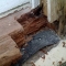 timber repairs