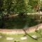 Lagre Koi Pond