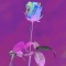 PURPLE ROSE