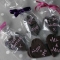 Delicious Fudge favours