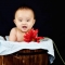 Baby photography baby photo