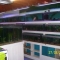 Our Tropical fish section.