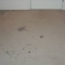 Carpet in need of a Proper Clean.