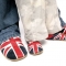 Triggerfish adult union Jack shoes with matching Starchild kids shoes