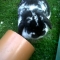 My first rabbbit