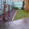 Redesigned Garden