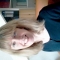 Pam Arland BA(Hons) Dip Couns MBACP