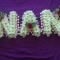 NAN FRAMES