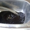 Flushing sludge out of heating system