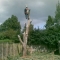carrying out popular remov al inc stump removal
