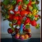 lollipop candy tree