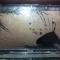We can replace broken screens.