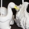 Animal Toilet Brush Holders