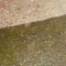 Concrete before and after cleaning