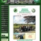web design and management