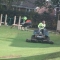 Mowing