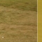 Scottish Golf Breaks