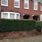 Hedge trimming