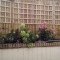 Small gardens
