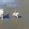 Two of our clients enjoying a trip to the beach
