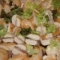 quality buffets to suit your budget