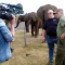 Filming an elephant at a safari park