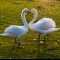 Relationship Counselling Marriage Psychotherapy in London