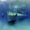 Diving on the Cayman Islands
