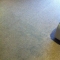 Carpet and upholstery cleaning.