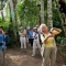 amazon tours