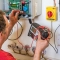 Electrical Training