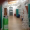 Champagne balloon arch