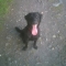 LUCY