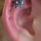 helix pierce by caroline marie