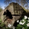 Spring has Sprung!