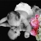 Naming Ceremonies
