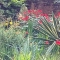 A splash of colour